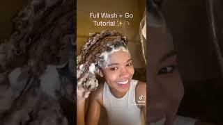 FULL WASH N GO TUTORIAL (mini version) TLC FOR COLOR TREATED HAIR