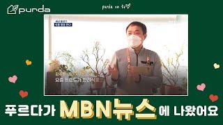 푸르다에서 반려식물 하나 키워보는건 어떠세요? | PURDA ON MBN TV