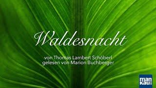 Waldesnacht - Gedicht von Thomas Lambert Schöberl