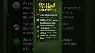 Эти вещи притянут богатство