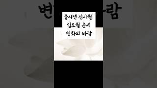 을사년 신사월 임오월 운세. 내 사주에 적용하기.