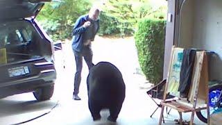 Video shows B.C. man's surprise encounter with bear in his garage