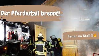 Der Pferdestall brennt!