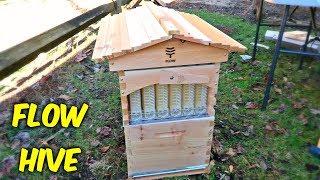 Flow Hive Review