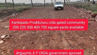 prodduturu -kankipadu, HRT Sreenidhi devolopers "crda open plots independent houses villas