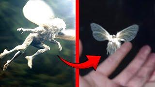 Mythical Creatures That Turn Out To Exist In Real Life!