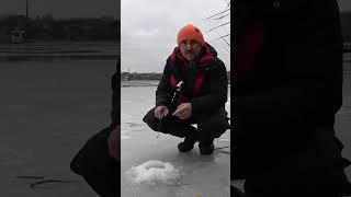 Ловля карася зимою на кивок. Секрет пошуку карася на водоймі. #shorts