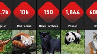 Animal Population Comparison | List Of Organisms By Population