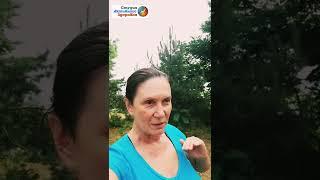 Дыхательная практика, с чего начать