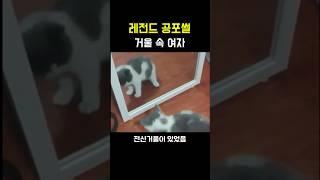 레전드 공포썰 [거울 속 여자]