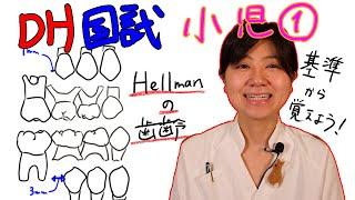 【小児①】DH国試対策 with ドクター歯科衛生士 Akane