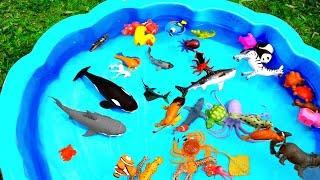 Learn With Wild Zoo Animals Blue Water Big Shark Toys For Kids