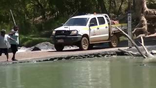 Cahills Crossing Crocodile chasing Fisherman with Barramundi