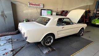 Ford 200 MPFI Westech Performance Dyno Runs and Summary