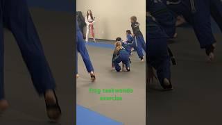 USMAC- taekwondo exercises