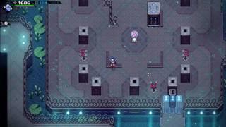 CrossCode So'najiz and Zir'vitar Temples