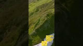 تلاوه خاشعه من سوره يس
