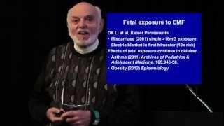 Dr. Martin Blank: Electromagnetic Fields