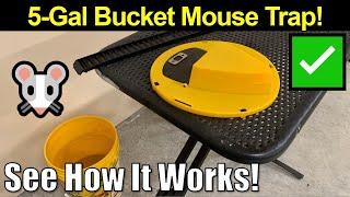 It Really Works! Reusable 5-Gal Bucket Mouse Trap by GARDENIX DECOR