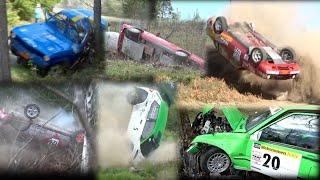 Best of Swedish Rally Crashes & Action 2024