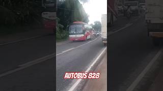 Metro Cebu Autobus Corp. 828 ️07/21/24 @Corazon.Catmon, Cebu #busspotting #shorts