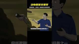 動物園怪談，保安篇 #灵异事件 #悬疑解密 #都市怪谈 #真相揭秘 #恐怖故事