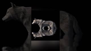 Amazing hologram advertising. #youtubeshorts #animals