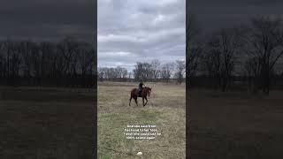  she’s getting there || #recovery #injury #trend #ottb #progress