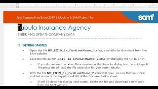Excel Module 1 SAM Project A Tabula Insurance Agency | Excel Module 1 SAM Project 1a