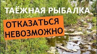 РЕКА СУПЕР, но таёжные дебри вымораживают! Марфинские таски за рыбой!