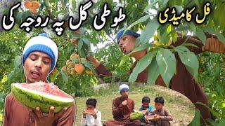 Tuti Gull Pa Roja Ki Pashto New Funny Video 2021 By Tuti Gull vines