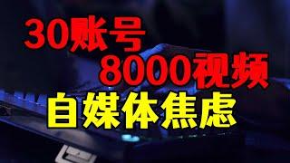 30个账号8000多条视频总结，面对自媒体焦虑，这个视频告诉你结果