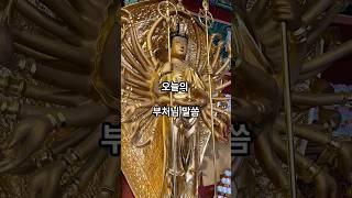 4월 16일 오늘의 부처님 말씀. #불교 #명언 #힐링 #명상