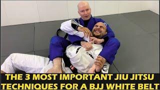 The 3 Most Important Jiu Jitsu Techniques For A BJJ White Belt by John Danaher