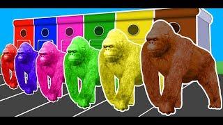 Colors Animals Gorilla Lion & Dinosaurs Fun Learning Video for Kids