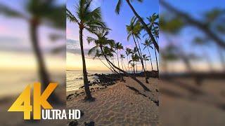 Beauty of Big Island's Nature, Hawaii for Vertical Displays -Relax Video with Soothing Nature Sounds