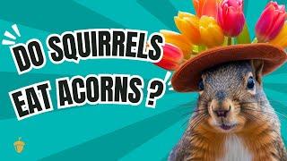 Do Squirrels Eat Acorns? Discover the Truth!