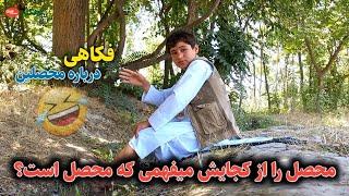 طنز احمد کوچک درباره محصلین - طنز جالب و خنده دار || دهکده ما Our Village