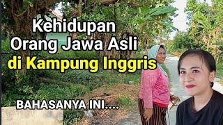 Kehidupan Orang Jawa Asli Di Kampung Inggris Karangmangu Bojonegoro Berbahasa Jawa Sedikit Inggris