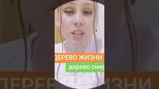 ВЫБИРАЙ ! ЖИЗНЬ ИЛИ ЗНАНИЯ?! #выбор #жизнь #смерть #ответ