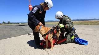 Urban Search and Rescue Task Force train with Sonoma County Sheriff's Helicopter Henry-1