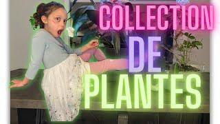 Les Collections: Plantes 🪴