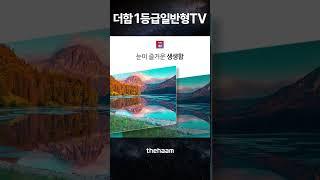 더함 1등급 일반형 TV