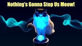 Nothing's Gonna Stop Us Now - not by Starship this time, but CATS! Parody Song.