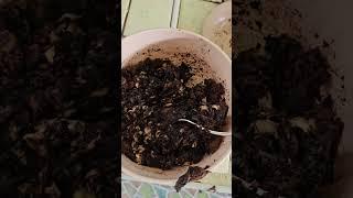 Бомба!!! Делал смузи из сапоты -  а получился джем!!!
