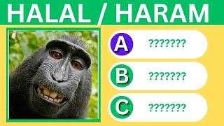 Islamic Quiz  | Haram or Halal Animals To Eat?  |  (no music)