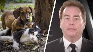 Owners keen to politicize their pets with vegan diets | David Menzies