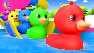 Five Little Ducks | Kids Songs | BluLoo Nursery Rhymes & Kids Songs