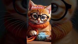 คิดถึงหนูนะ #พากย์นรก #memes #อ่ามีมฮาๆ #easyboy #cat #catlover #funny #ytshorts #kitty