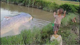 A boy catches stream fish using a homemade trap / ly tam ca